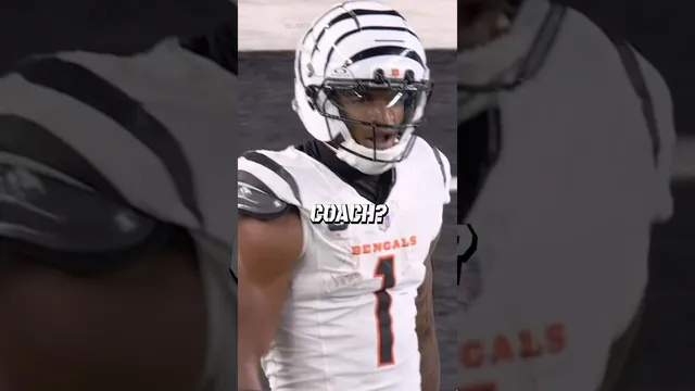 We got some DAWGS on the sidelines 🔥👀